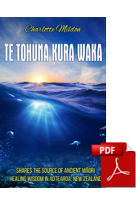 Te Tohuna Kura Waka Booklet Cover
